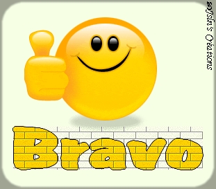 brarvo10.jpg