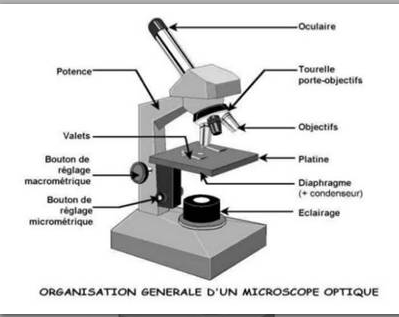 microscope.PNG