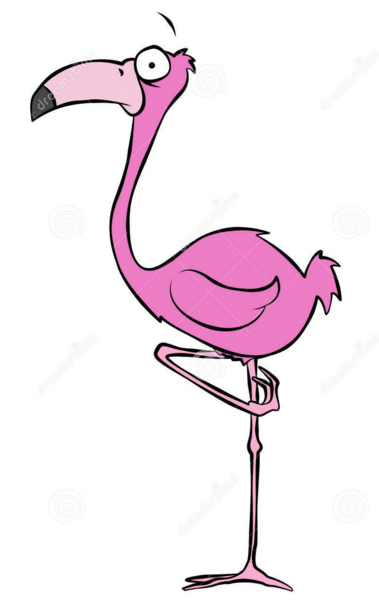 flamant rose.PNG