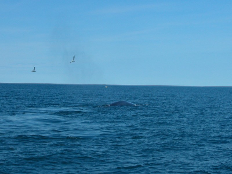 DSCN6061.JPG