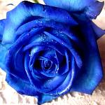 Avatar de l’utilisateur