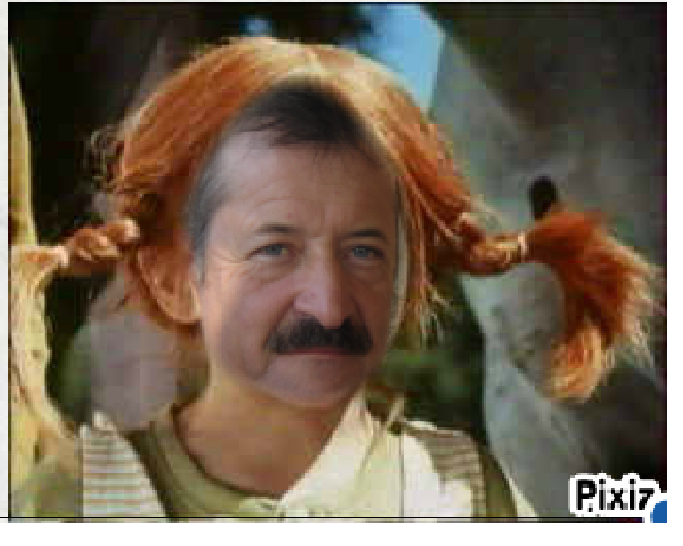 fifi.png
